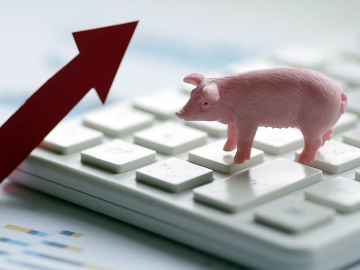 圣农发展:截至2026年1月30日收盘,根据中证登提供的《不含信用账户合并名册全体前N名》名册,公司股东户数为38,262户