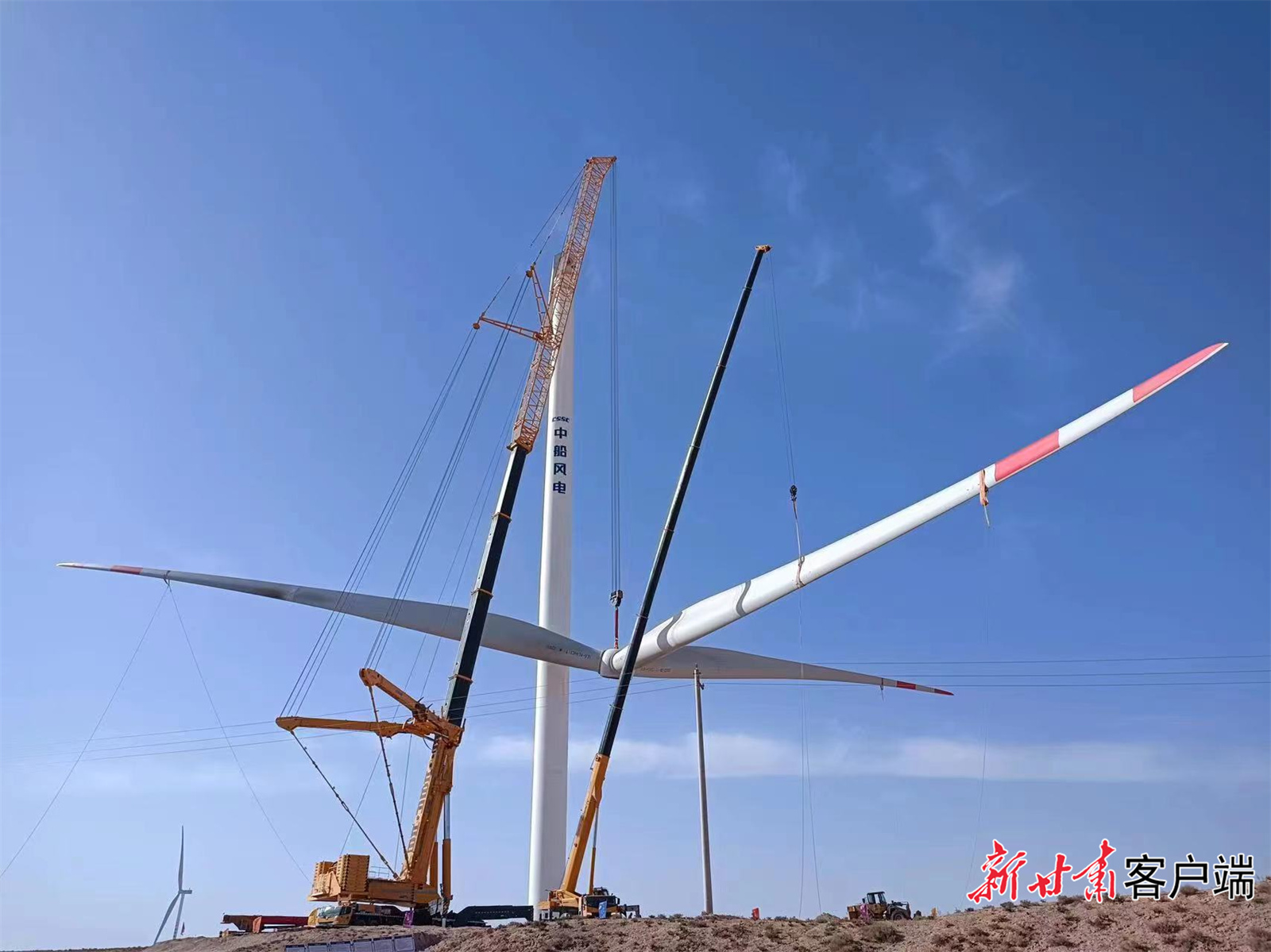 新产业、新市场与新技术动能澎湃,海尔生物2025年营收超23亿元