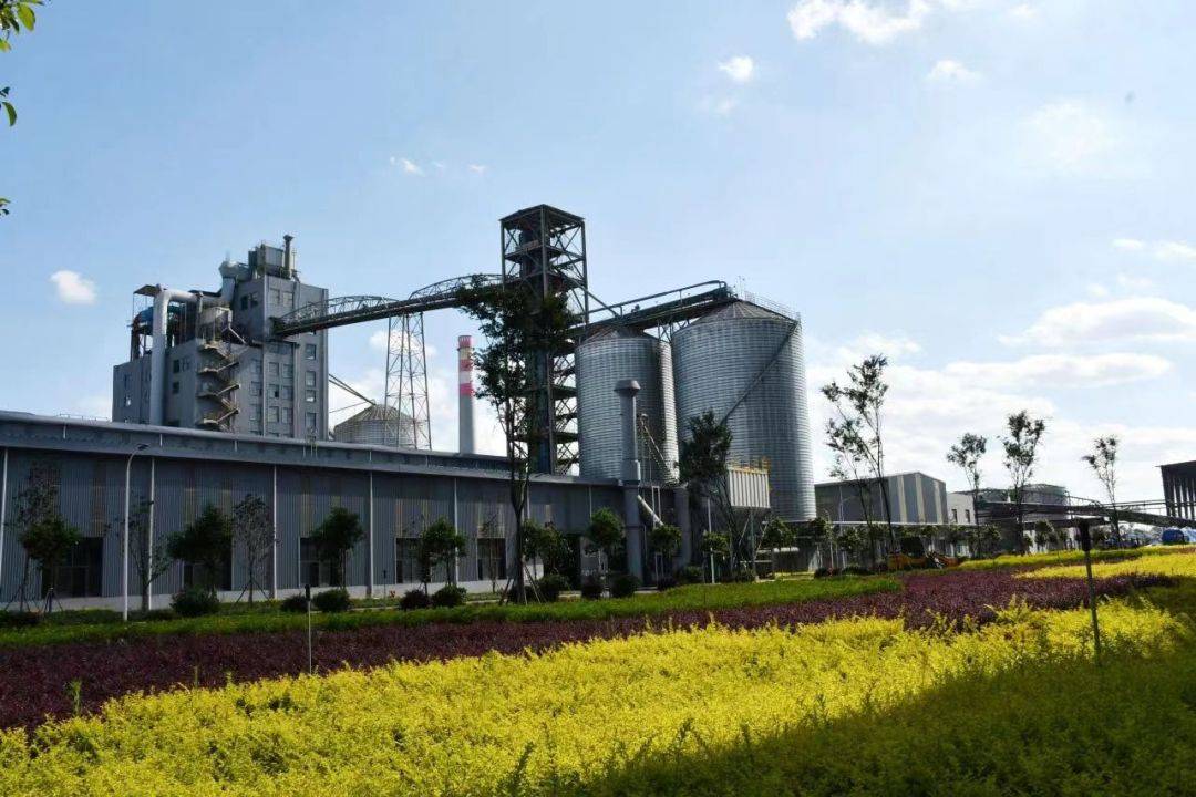 索通发展披露6笔对外担保，被担保公司5家