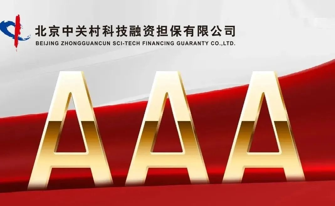 迪生力披露2笔对外担保，被担保方为广东威玛新材料股份有限公司