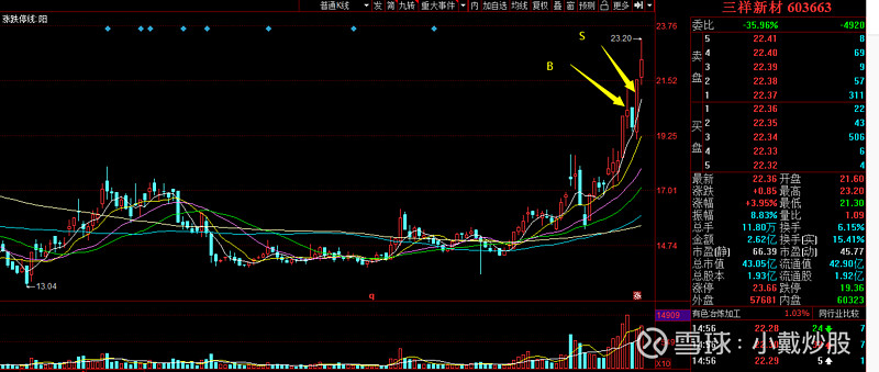 异动快报：三祥新材（603663）3月3日9点37分触及涨停板