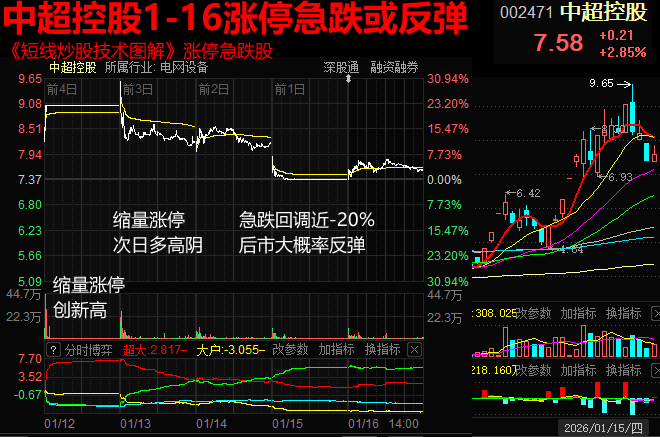 岩山科技今日涨停，国泰海通武汉紫阳东路证券营业部净买入2.82亿元