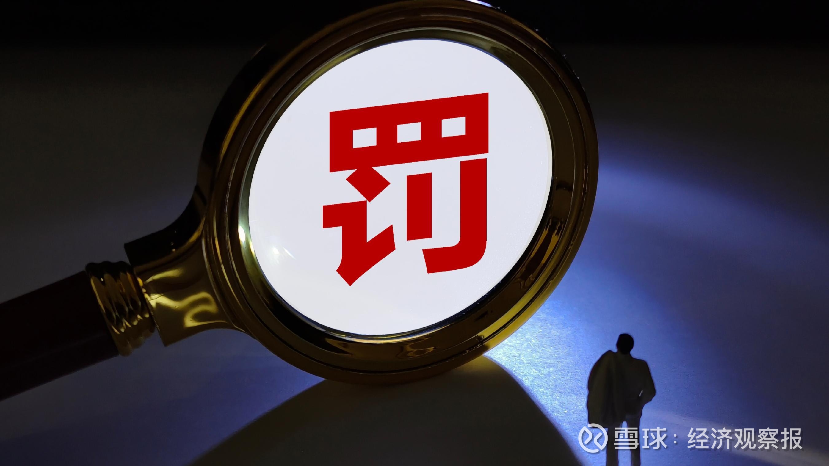 【企业动态】英集芯新增1件行政处罚，被罚款400万元