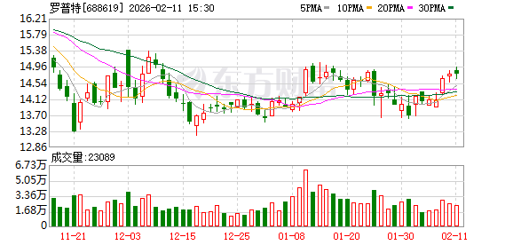 回天新材：公司不存在应披露而未披露的重大事项