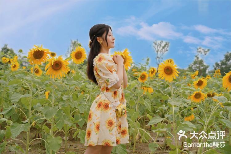 两次对赌失守阴影难消,莎普爱思高溢价再接盘关联资产遭连环拷问,“药+医”故事是战略还是画饼?