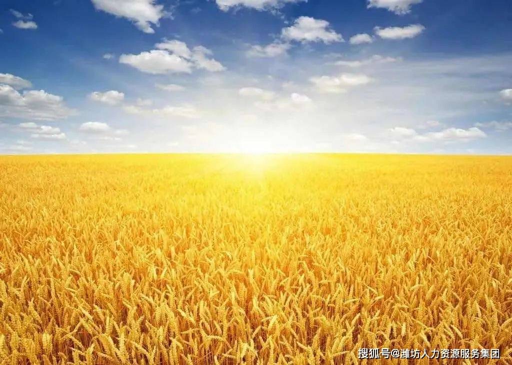 洛阳钼业披露3笔对外担保,被担保公司2家