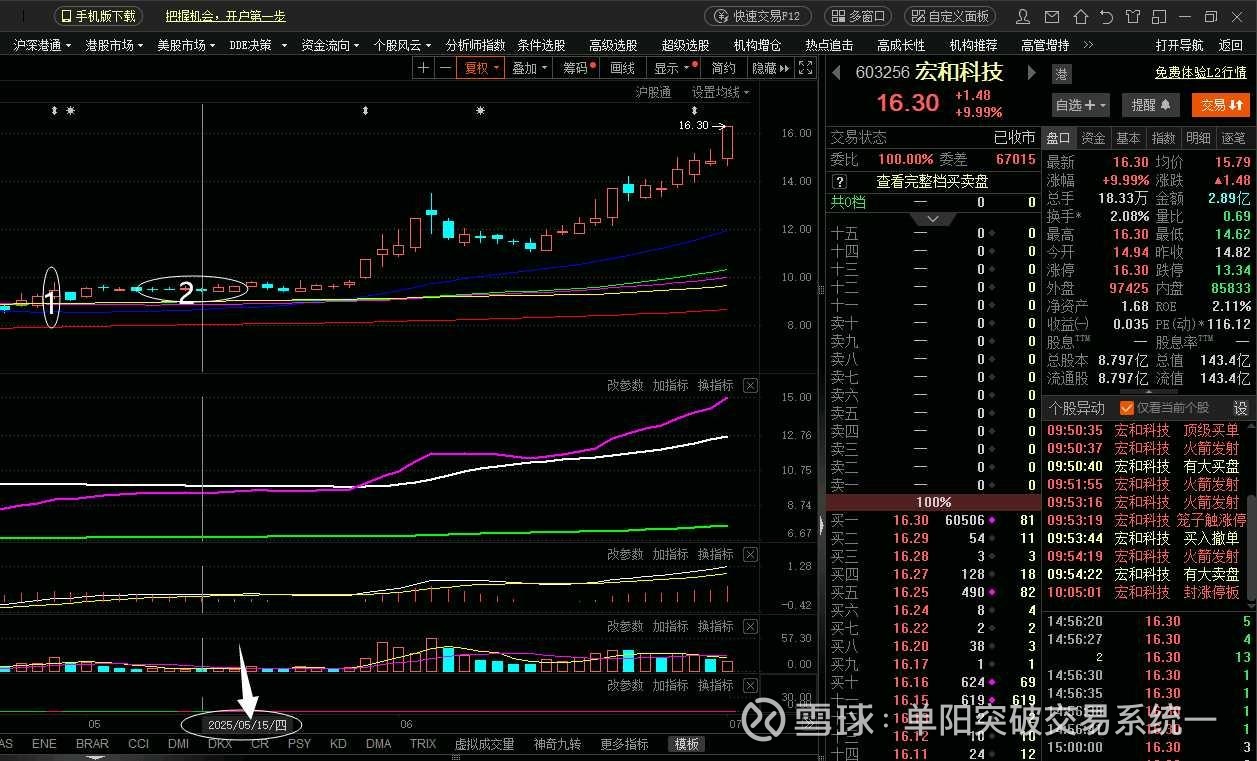 异动快报：宏和科技（603256）3月30日11点10分触及涨停板