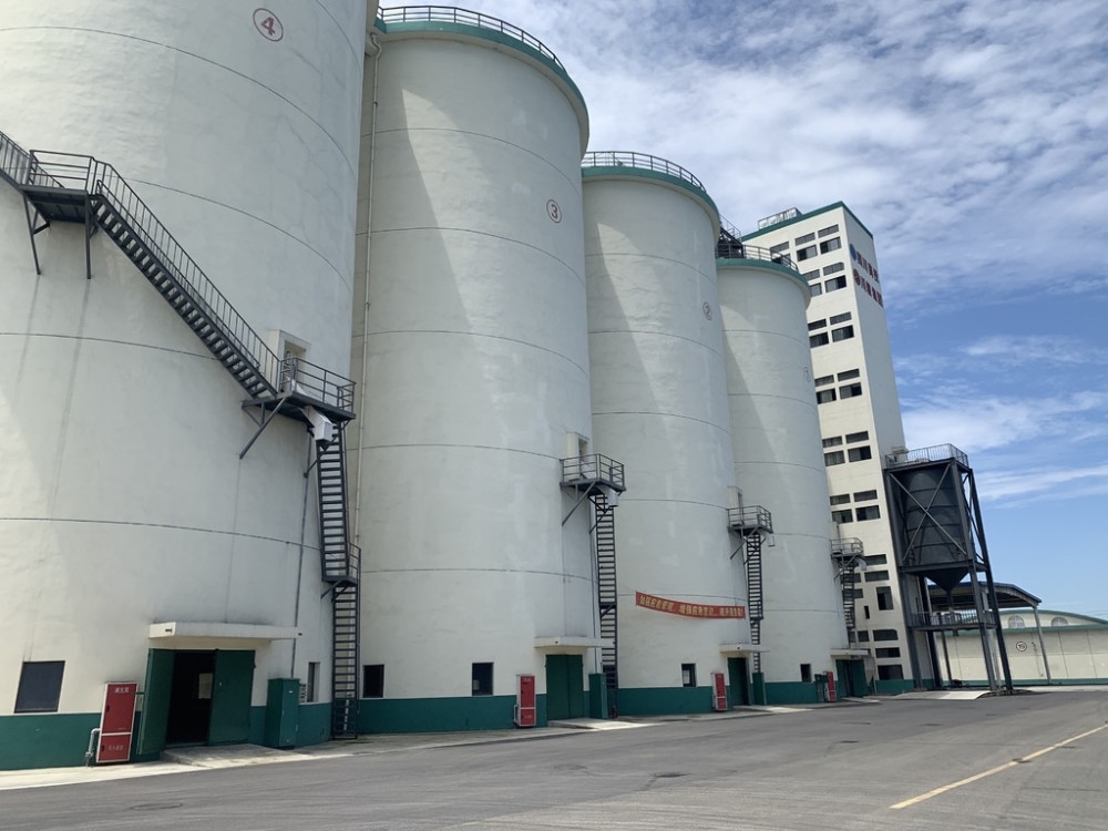 妙可蓝多一季度开门红，营收大涨31.81%，扣非净利双位数增长