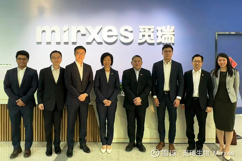 Mirxes觅瑞公布港交所复牌指引 开展独立调查与内控整改