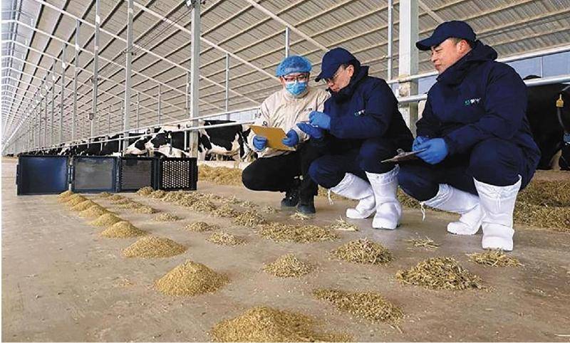 财报快递｜孚能科技2025年度营收降22%亏损扩大，经营现金流却大增近九成
